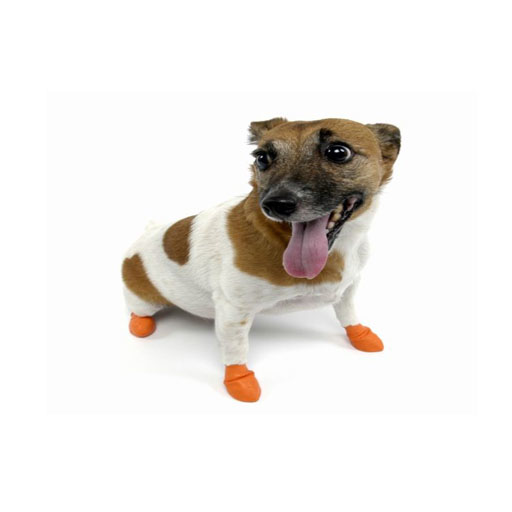 Pawz Pawz, Bottes pour chien, orange, TP