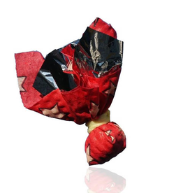 Cancor Cancor Catnip Crinkle Candy