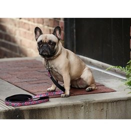 RC Pets RC Pet Dog Leash