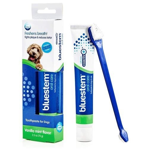 Bluestem Bluestem Oral Care Toothpaste and Toothbrush Vanilla Mint 70g