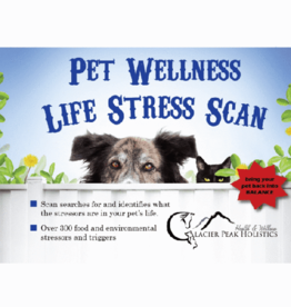 Glacier Peak Holistics Pet Wellness Life Stress Scan