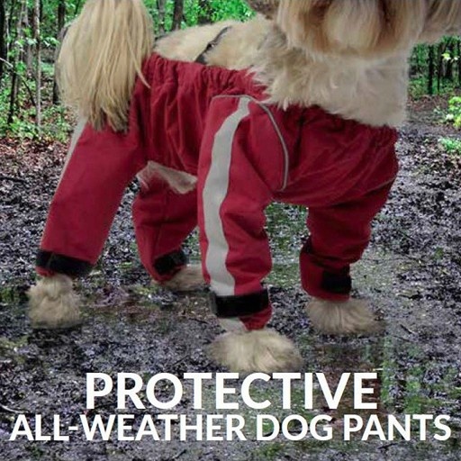 Fou Fou Dog Fou Fou Dog Bodyguard
