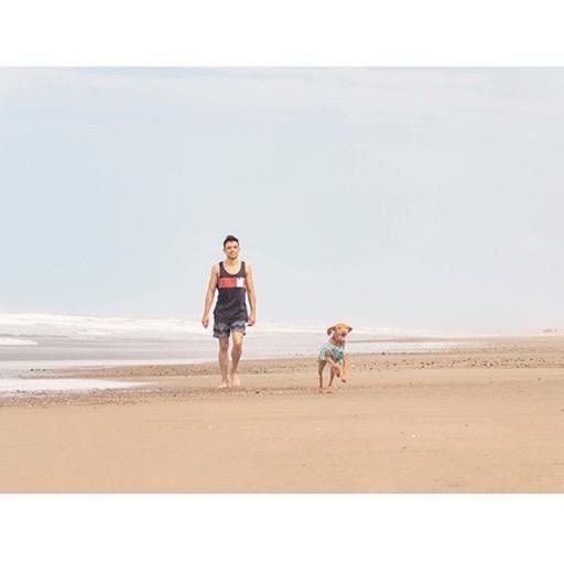 rc pets cooling vest