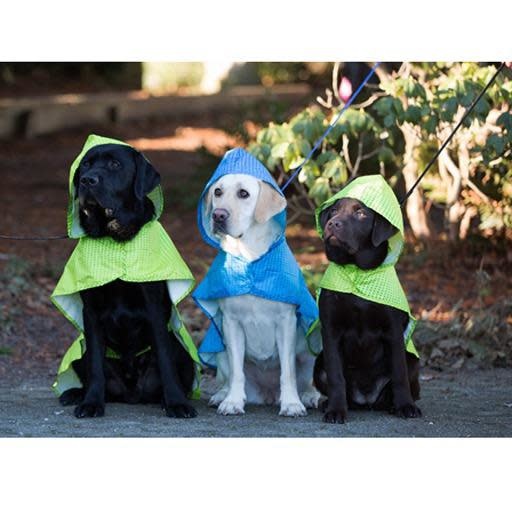 RC Pets RC Packable Rain Poncho - NDG7654