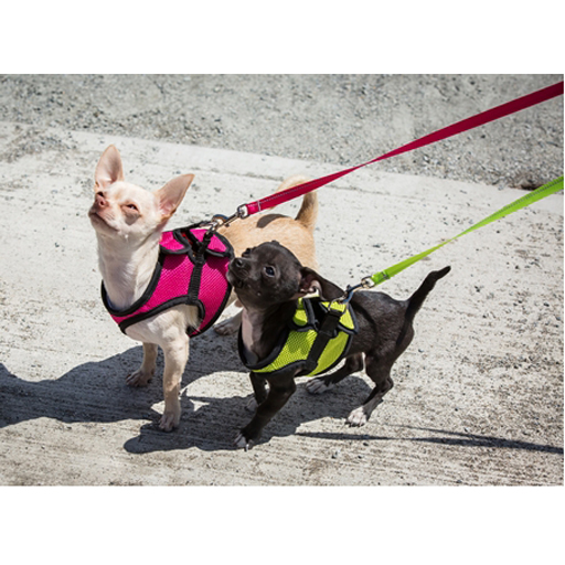 RC Pets RC Pets, Harnais Step-in Cirque