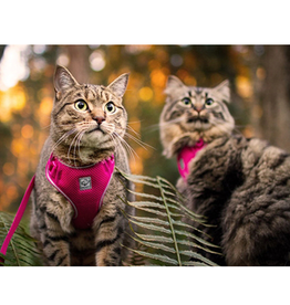 RC Pets RC Pets Adventure Kitty Harness