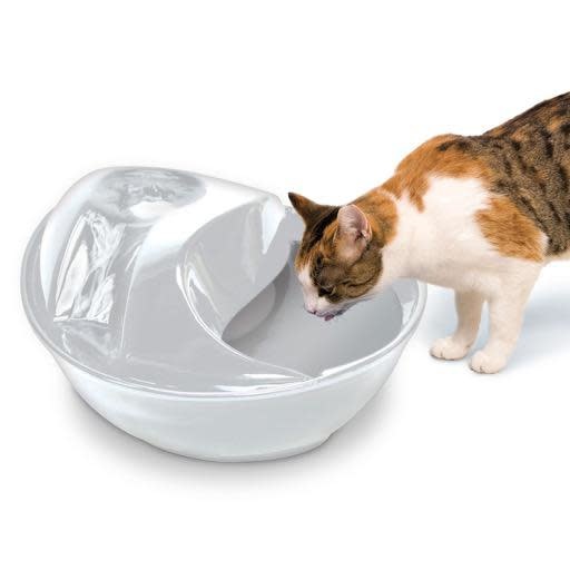 Pioneer Pet Pioneer Pet Smart Cat Raindrop Ceramic Fountain White 60oz