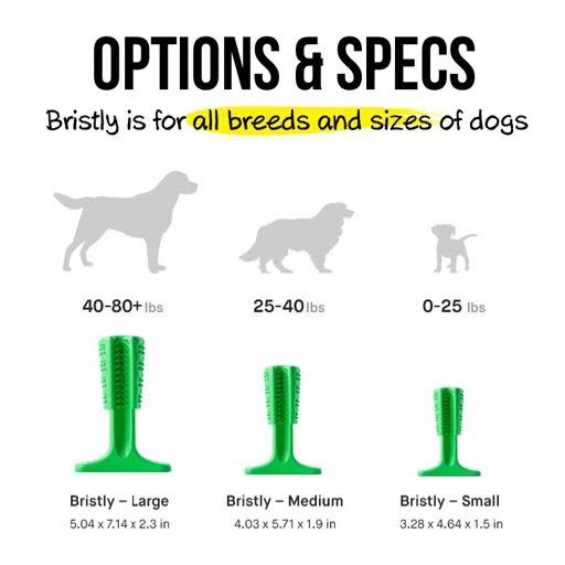 bristly brushing stick canada