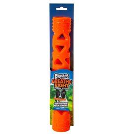 Chuck It Grand bâton de jeu Chuckit ! Breath Right™
