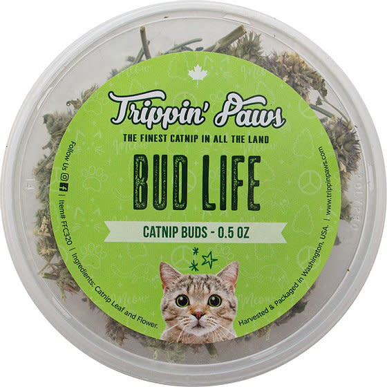 Bourgeons d’herbe à chat Bud Life de Trippin Paws, contenant de 0,5 oz