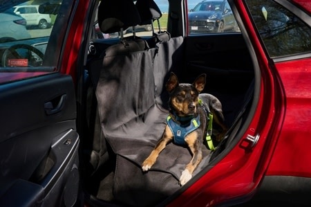 Protège-siège RC Pets Trekker, couleur noir chiné