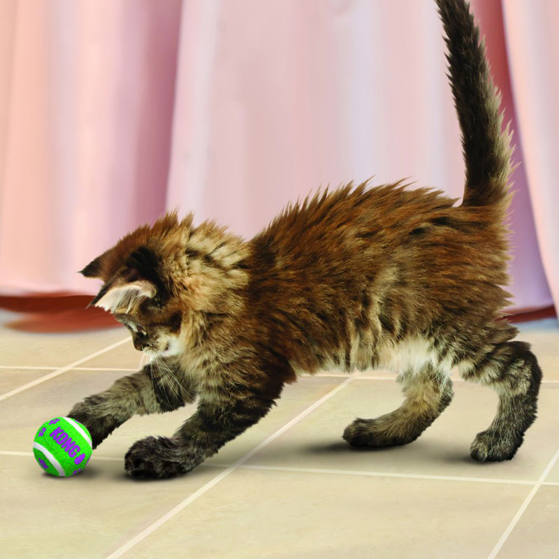 Kong Active, Balles de tennis avec clochettes, pour chat