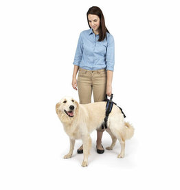 Petsafe CareLift, Harnais de support train arrière