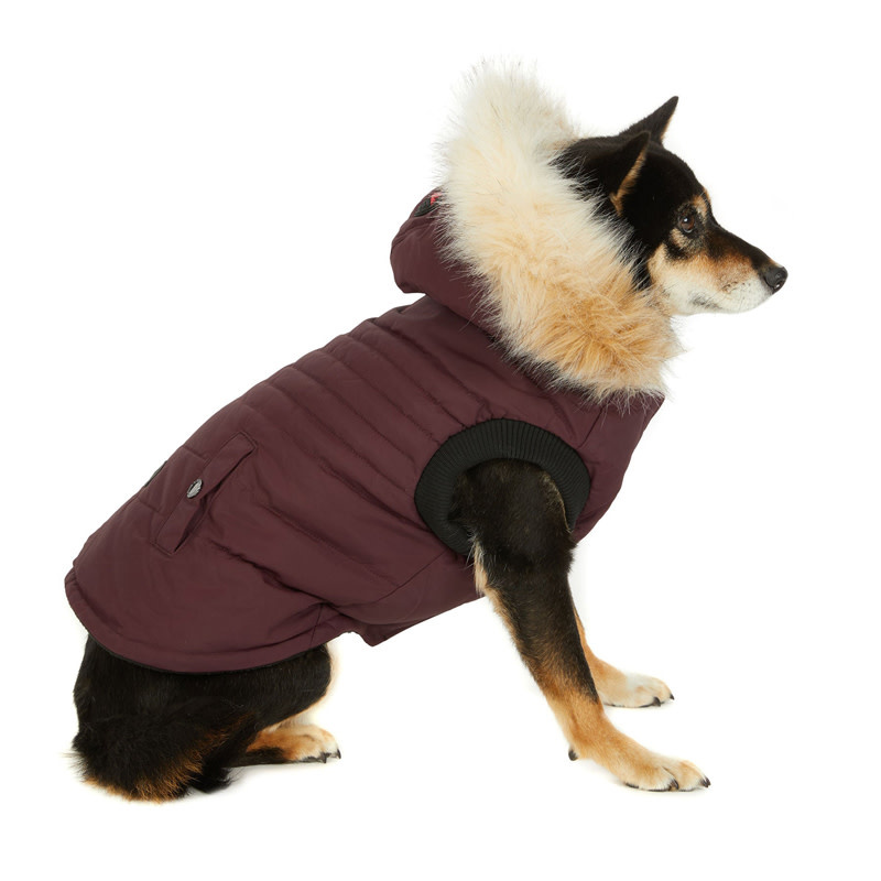 Pajar Pajar Pup Toby Winter Coat