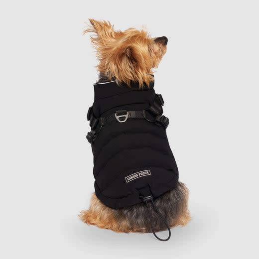 Canada Pooch Canada Pooch, Gilet matelassé avec laisse