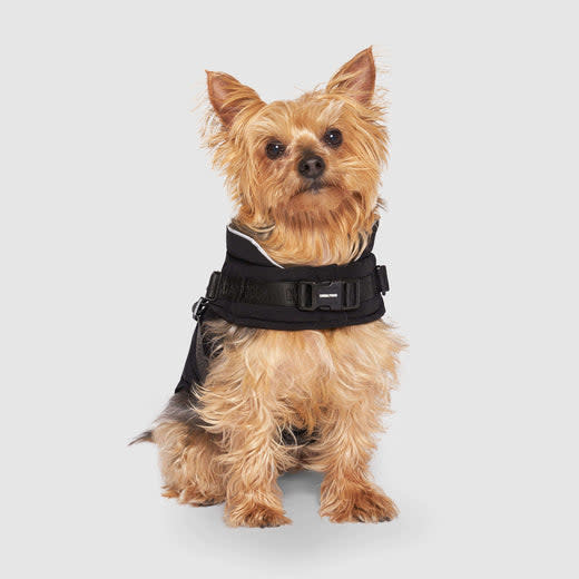 Canada Pooch Canada Pooch Harness Puffer