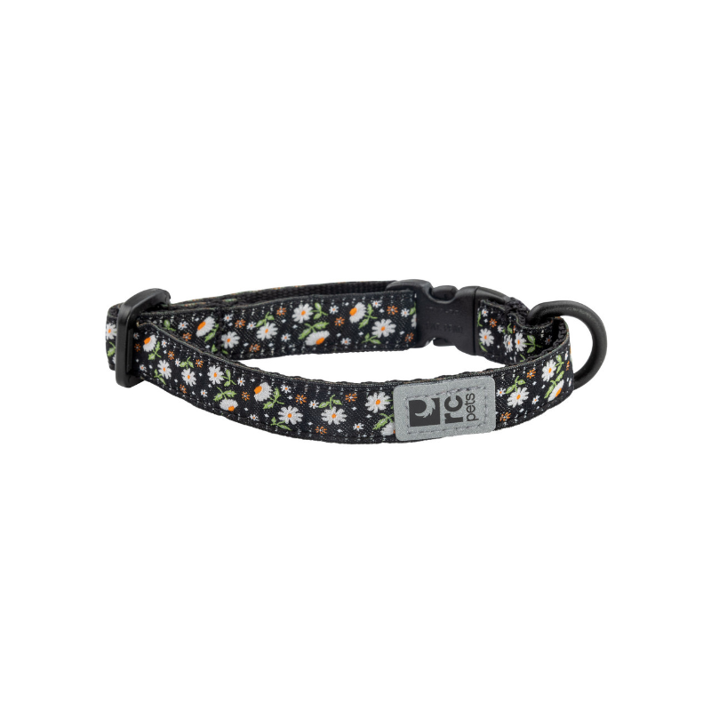 RC Pets RC Pets Kitty Breakaway Collar Daisies