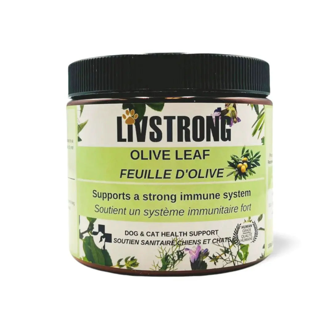 LIVSTRONG OLIVE LEAF DOG & CAT HEALTH SUPPORT 100G BAILEY BLU PET