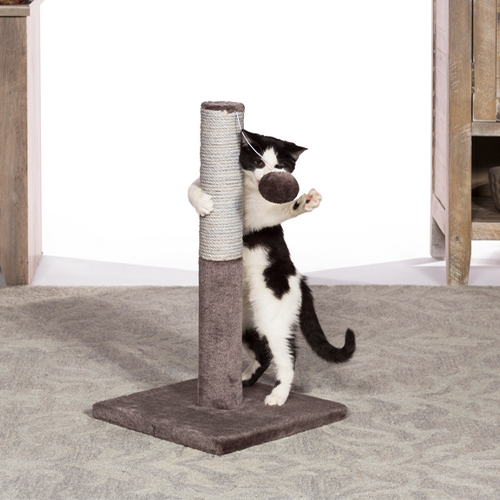 Prevue Hendryx Prevue Hendryx Play and Scratch Cat Post