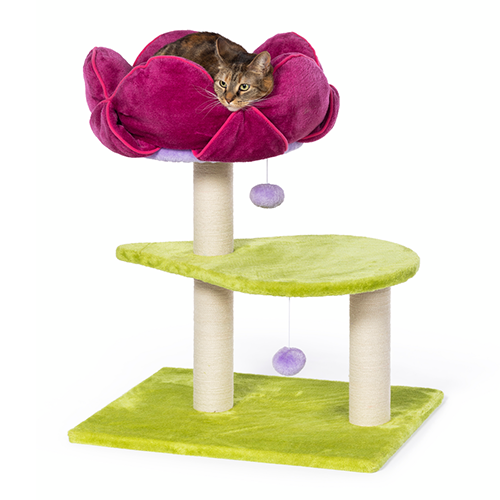 Prevue Hendryx Prevue Hendryx Flower Power Cat Post