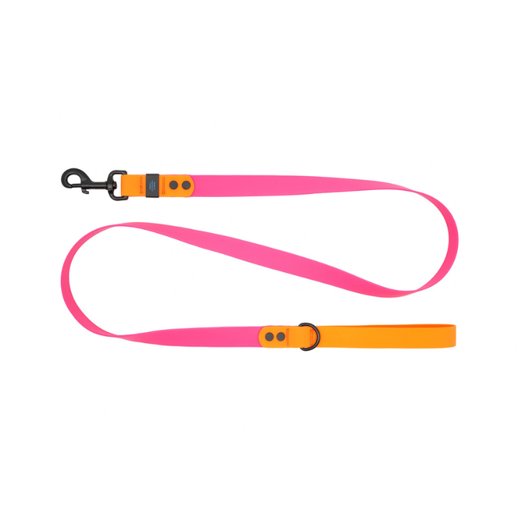 RC Pets RC Pet Waterproof Leash Azalea/Orange
