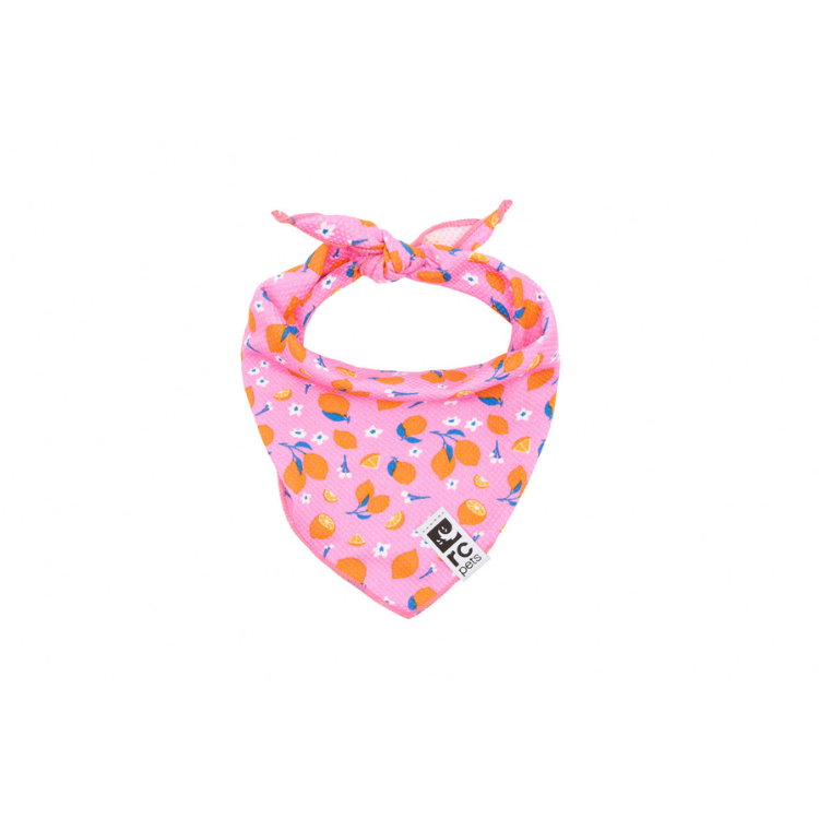RC Pets RC Pets Zephyr Cooling Bandana