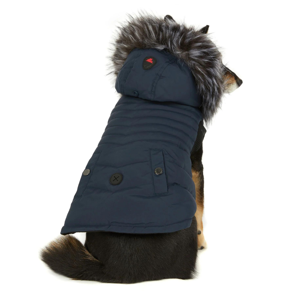 Pajar Pajar Pup, Gilet d'hiver Toby