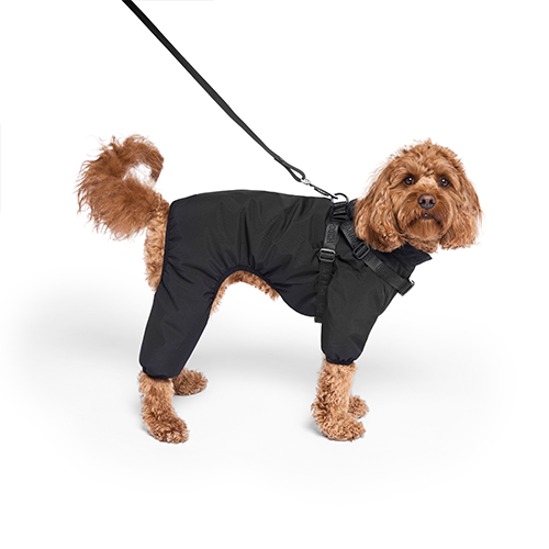 Canada Pooch Canada Pooch Harness Snowsuit