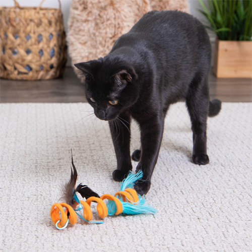 SmartyKat Instincts Crazy Coil Springy Cat Toy