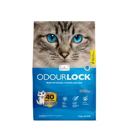 Intersand OdourLock Clumping Cat Litter Unscented 6kg