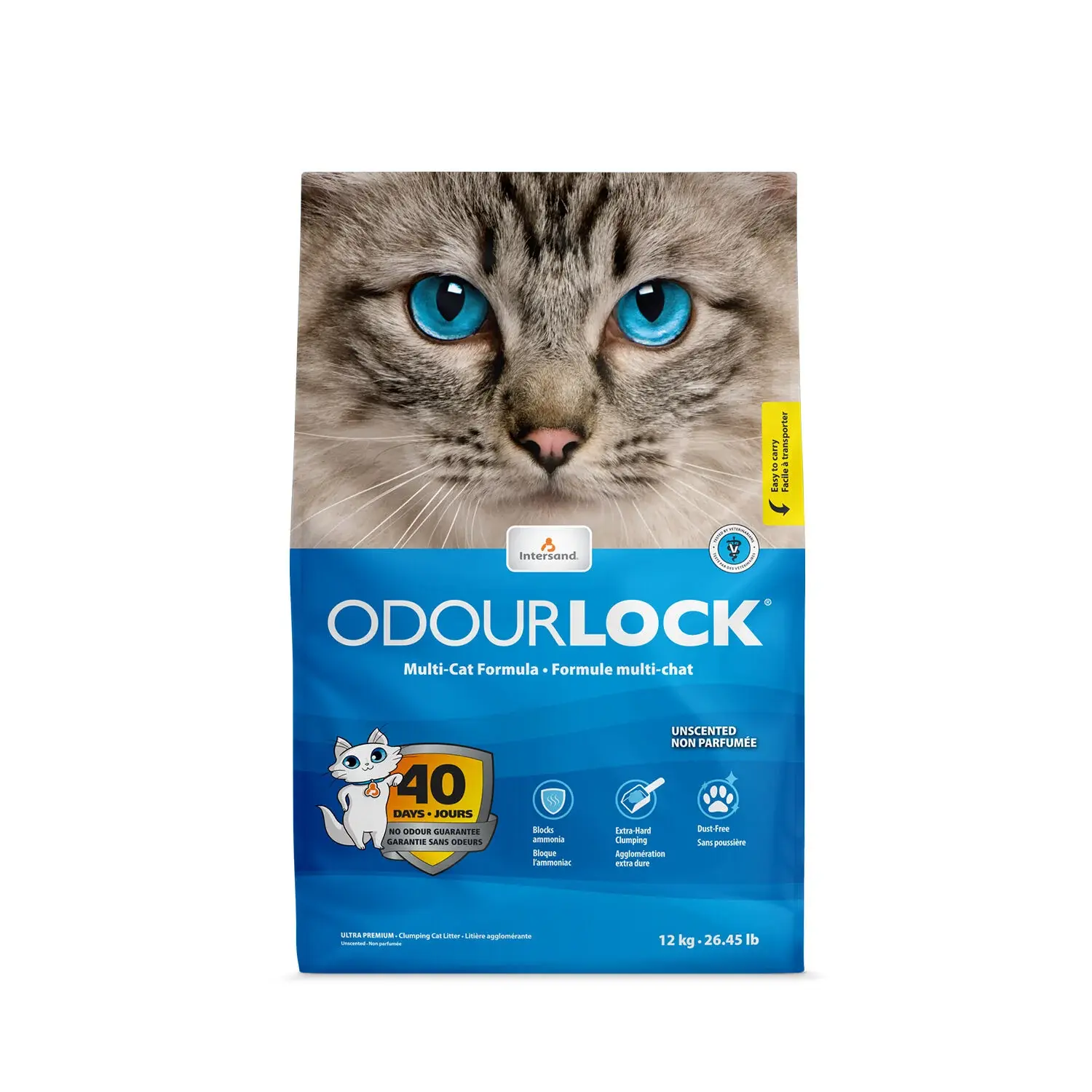 Intersand OdourLock Clumping Cat Litter Unscented 12kg