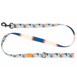RC Pets Eco Leash Riptide