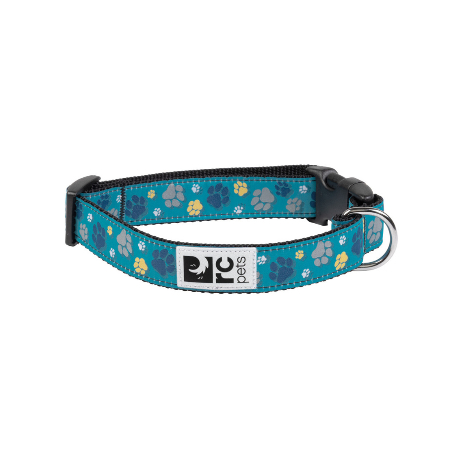RC Pets RC Pets Clip Collar Fresh Tracks Teal