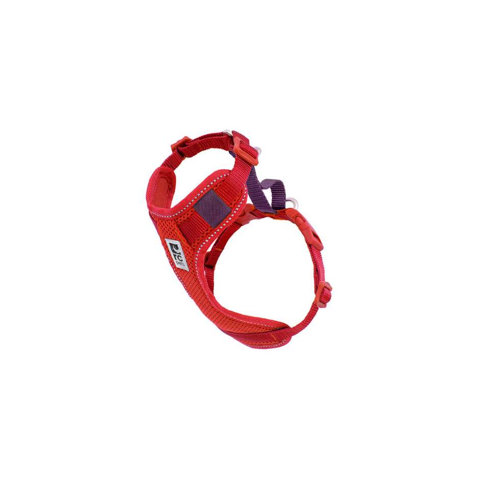 RC Pets RC Pets, Harnais de contrôle auto