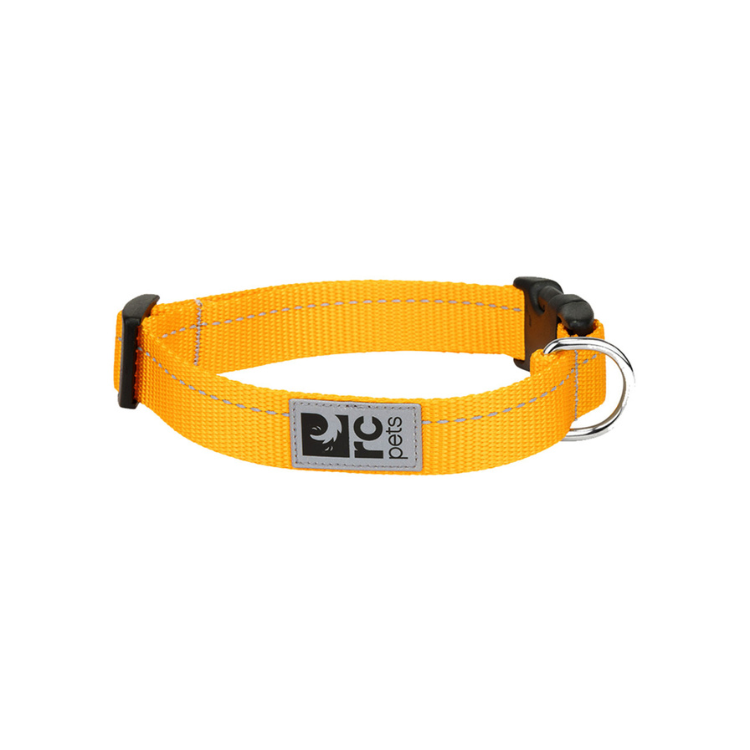 RC Pets RC Pets Primary Clip Collar