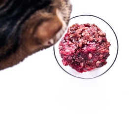 Raw By Bailey Blu Wapiti Cru + Organe + Lapin