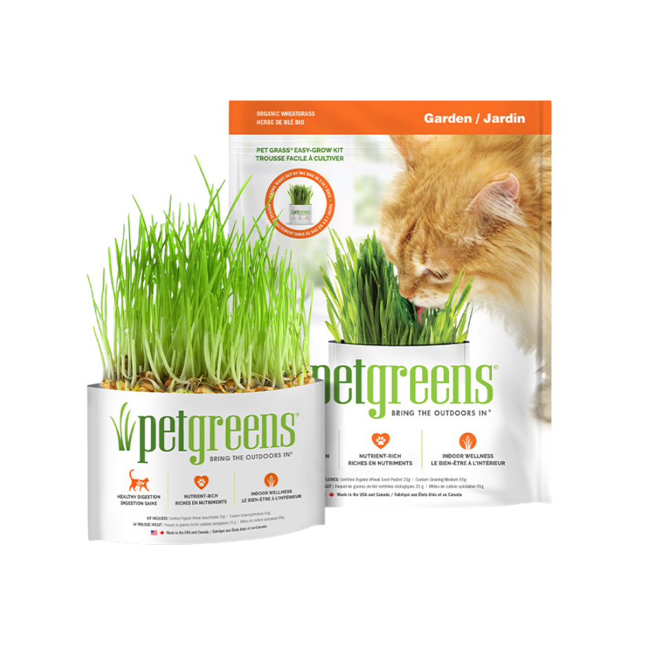 Bellrock Pet Greens Pet Greens Garden Self Grow Kit 65g
