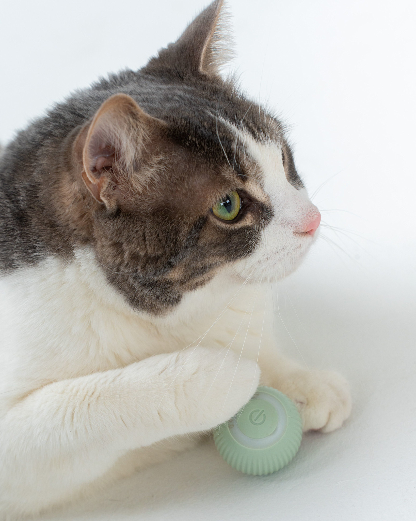 Dexypaws Dexypaws Interactive Cat Toy Smart Rotating Ball