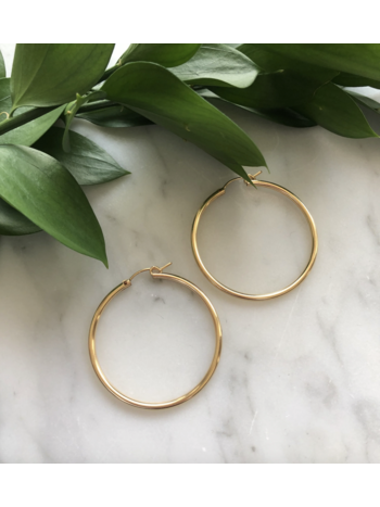 Flora Ciccarelli Flora Ciccarelli- 217-104 Hoops 1.5 gold filled
