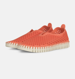 Ilse Jacobsen Ilse Jacobsen- Tulip139 Viva Magenta flats SS25