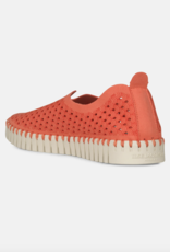 Ilse Jacobsen Ilse Jacobsen- Tulip139 Viva Magenta flats SS25
