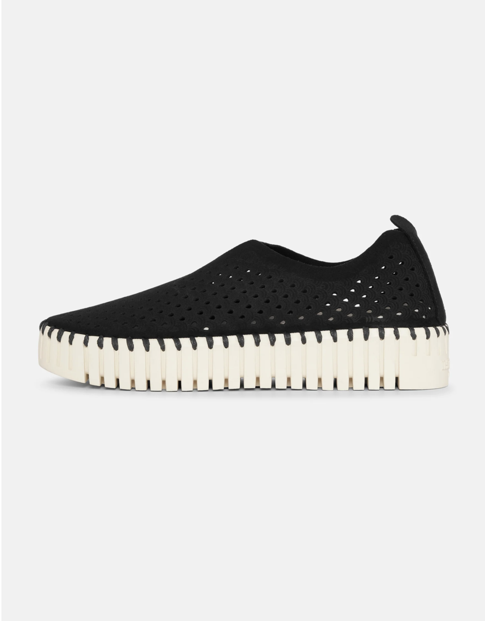 Ilse Jacobsen Ilse Jacobsen -Tulip3373  black Flats SS25