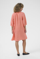Cream Cream- CRBellis Lace short dress SS25