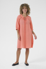 Cream Cream- CRBellis Lace short dress SS25