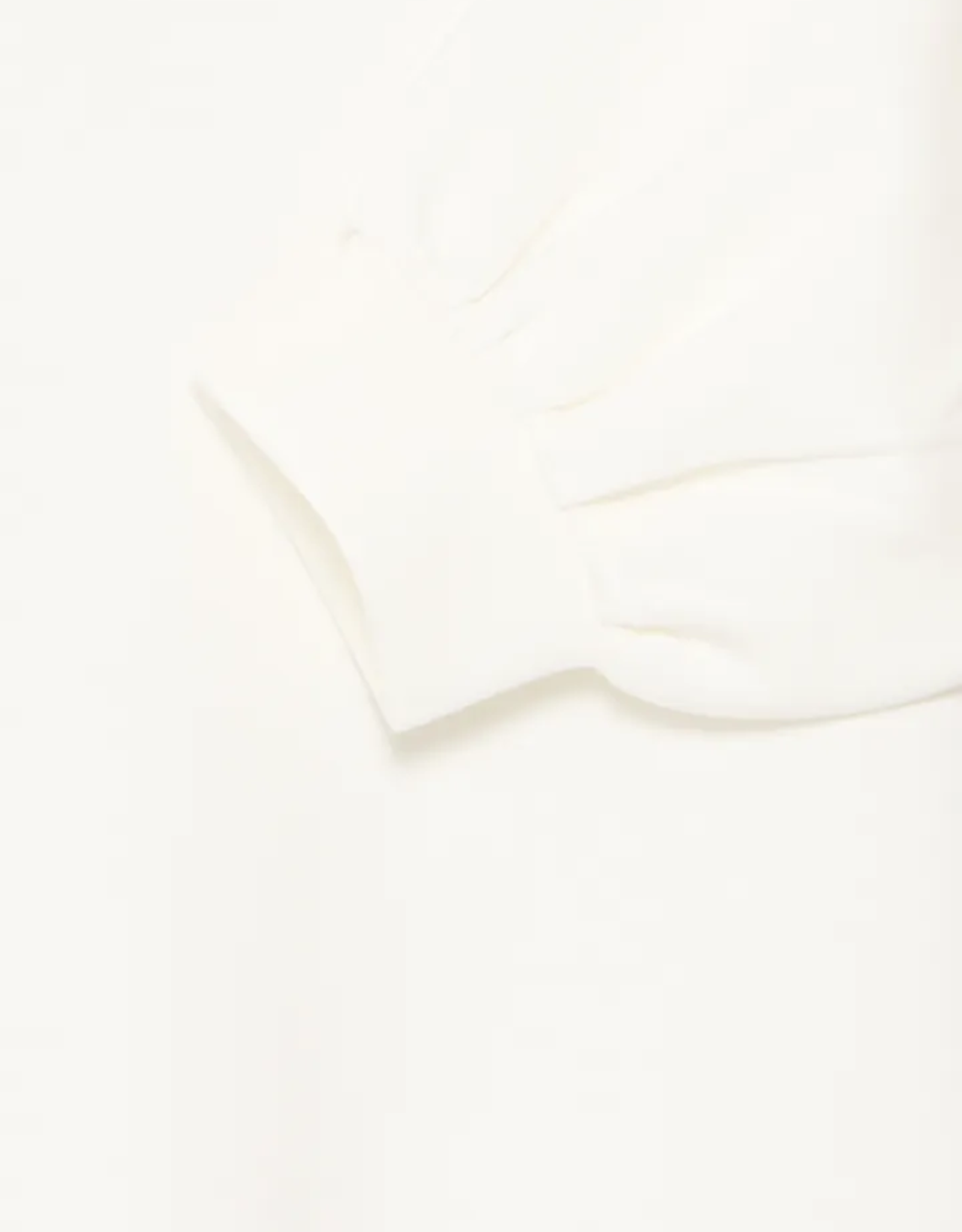 b. young B. Young -  BYPUSTI  Sweatshirt SS25