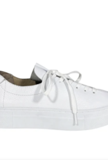 Atelier Atelier - Vince Sneaker  (3 clrs) SS25 Atelier Atelier - Vince Sneaker  (3 clrs) SS25