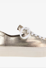 Atelier Atelier - Vince Sneaker  (3 clrs) SS25 Atelier Atelier - Vince Sneaker  (3 clrs) SS25