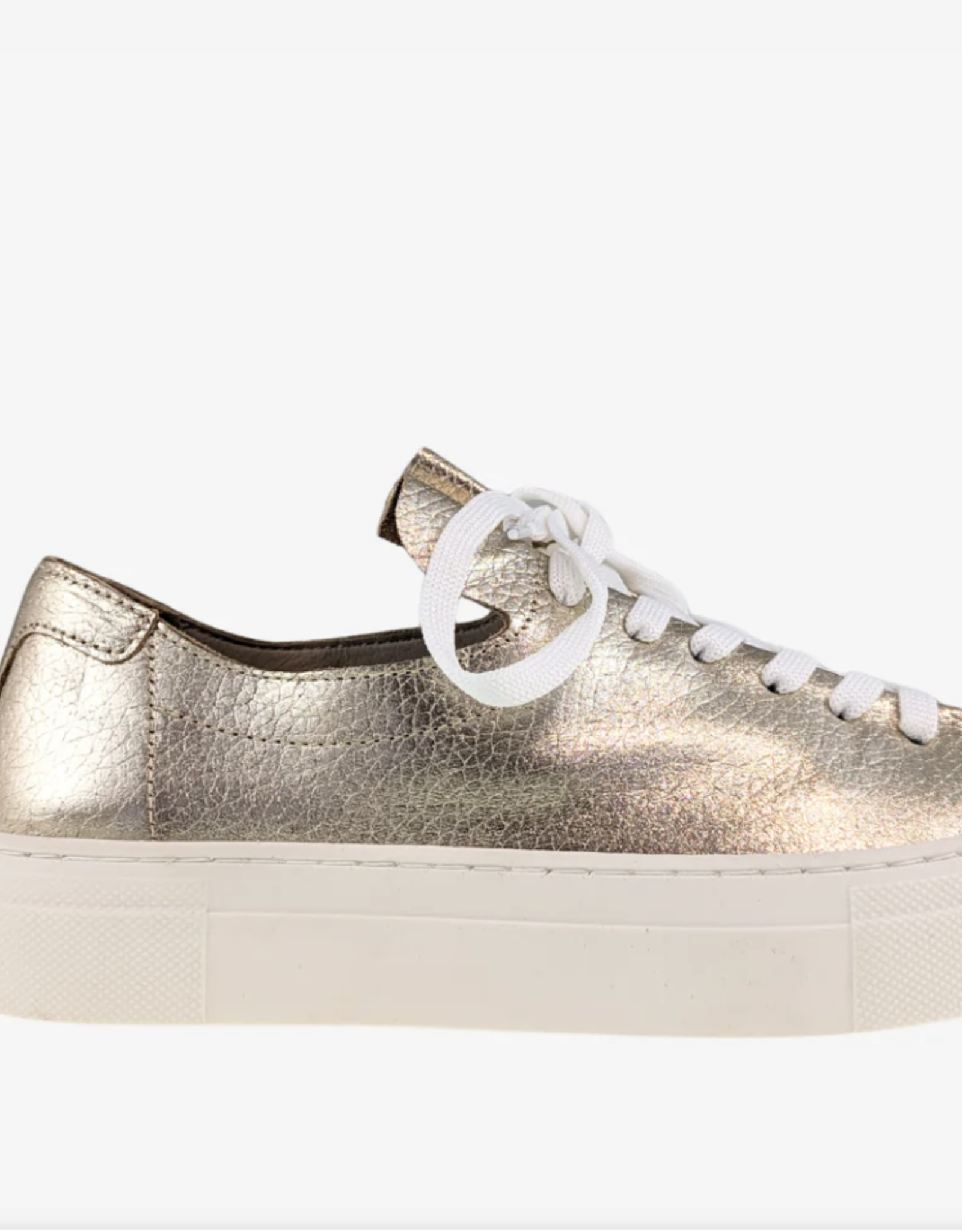 Atelier Atelier - Vince Sneaker  (3 clrs) SS25