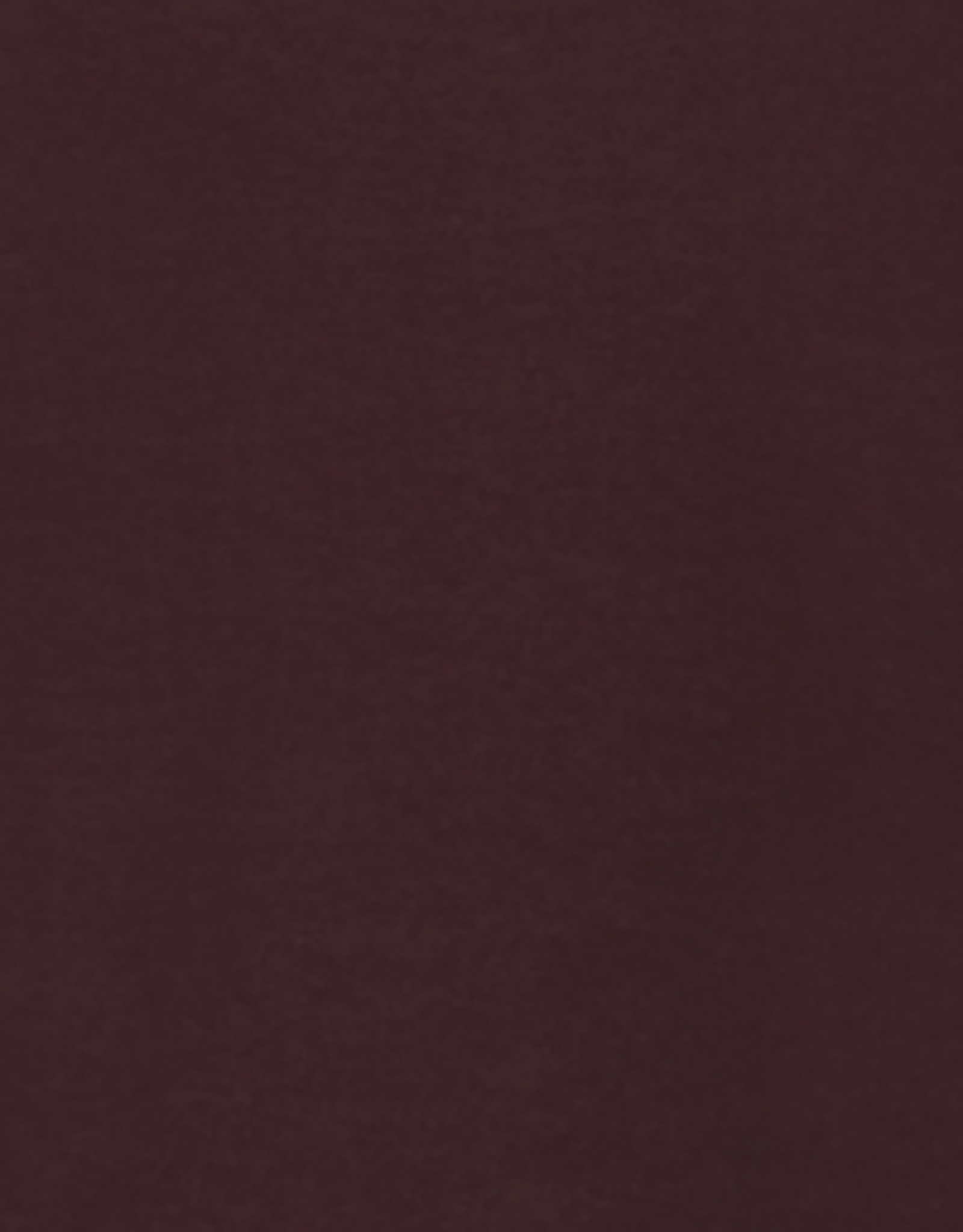 Part Two Part Two - CortniaPW Shirt FW25 ( 2 colours)