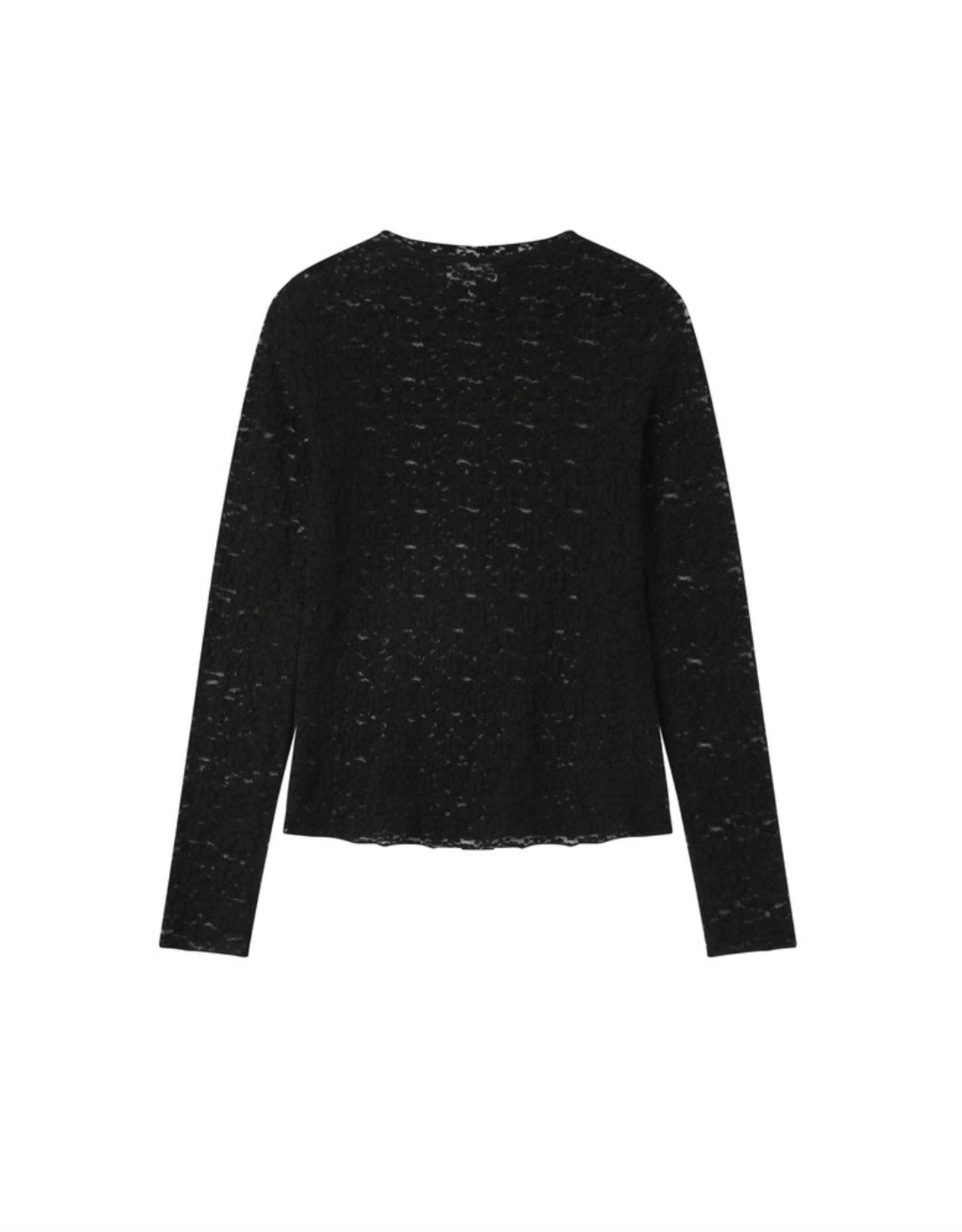 Grace & Mila Grace & Mila - Shady T-Shirt FW25
